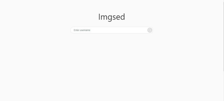 Imginn-Review about the popular Instagram Viewer.