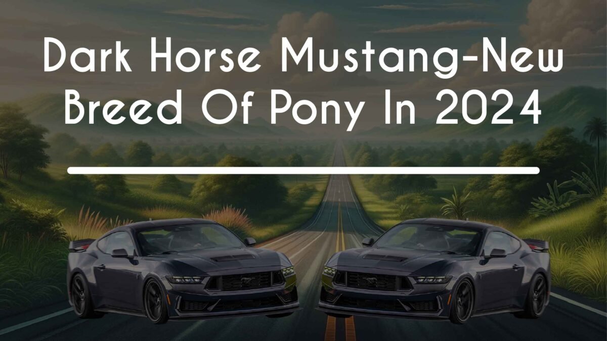 Dark Horse Mustang-New Breed Of Pony In 2024