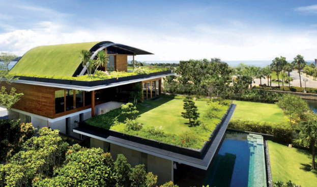 Green Roofing Solutions for Your Home