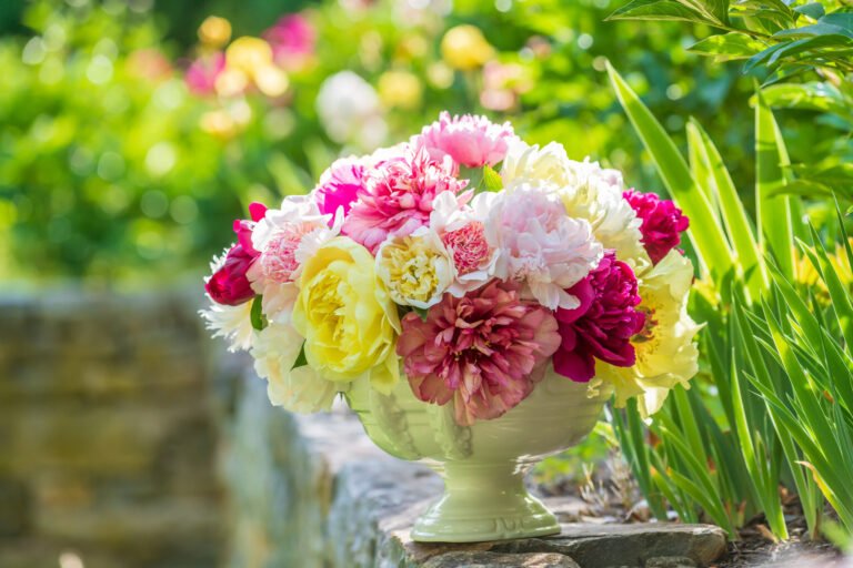 Blissful Peonies: Building the Perfect And Calm Scenery For Your Living Area